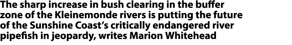 The sharp increase in bush clearing in the buffer zone of the Kleinemonde rivers is putting the future of the Sunshin...