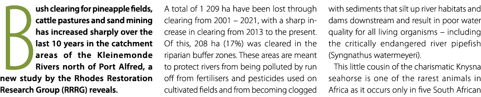 Bush clearing for pineapple fields, cattle pastures and sand mining has increased sharply over the last 10 years in t...