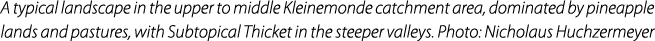 A typical landscape in the upper to middle Kleinemonde catchment area, dominated by pineapple lands and pastures, wit...
