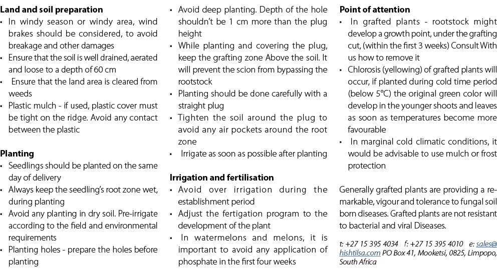 Land and soil preparation • In windy season or windy area, wind brakes should be considered, to avoid breakage and ot...