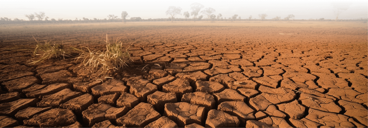 Arid mud landscape, broken tree sunset season generated by artificial intelligence