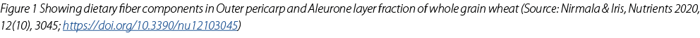 Figure 1 Showing dietary fiber components in Outer pericarp and Aleurone layer fraction of whole grain wheat (Source:...