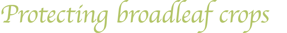 Protecting broadleaf crops
