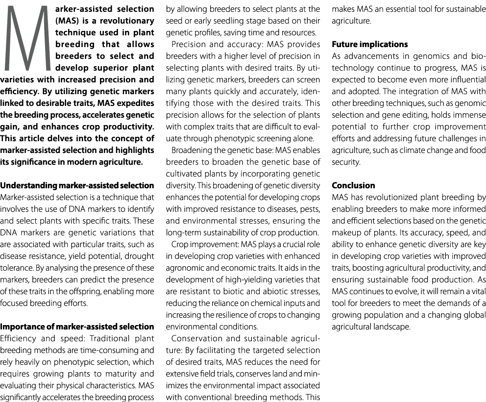 Marker assisted selection (MAS) is a revolutionary technique used in plant breeding that allows breeders to select an...