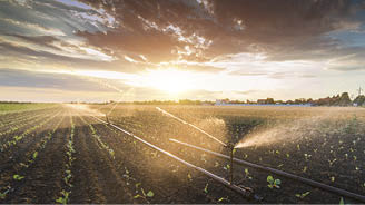 Irrigation system watering a crop of soy beans at field