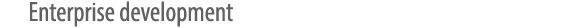 Enterprise development