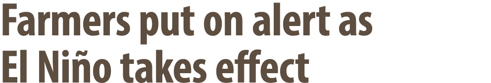 Farmers put on alert as El Ni o takes effect