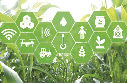 iot, internet of things, agriculture concept, Smart Robotic (artificial intelligence/ ai) use for management , control , monitoring, and detect with the sensor in the farm, field.
