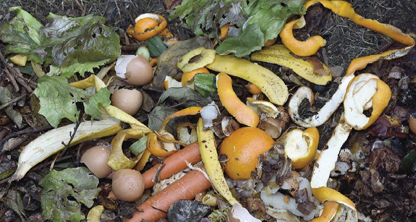 inside of a composting container