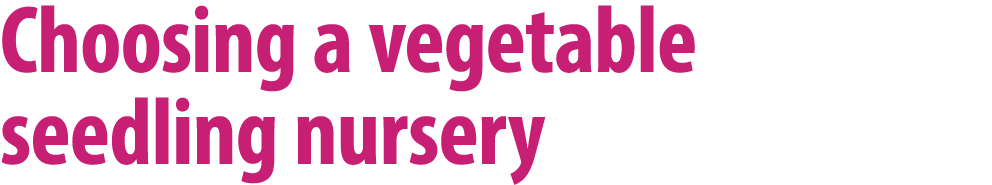 Choosing a vegetable seedling nursery