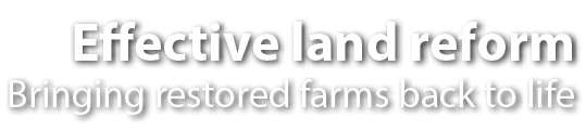Effective land reform Bringing restored farms back to life 