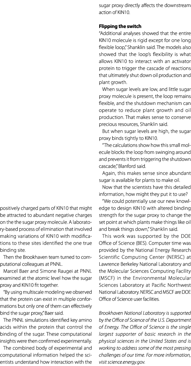 positively charged parts of KIN10 that might be attracted to abundant negative charges on the the sugar proxy molecul...