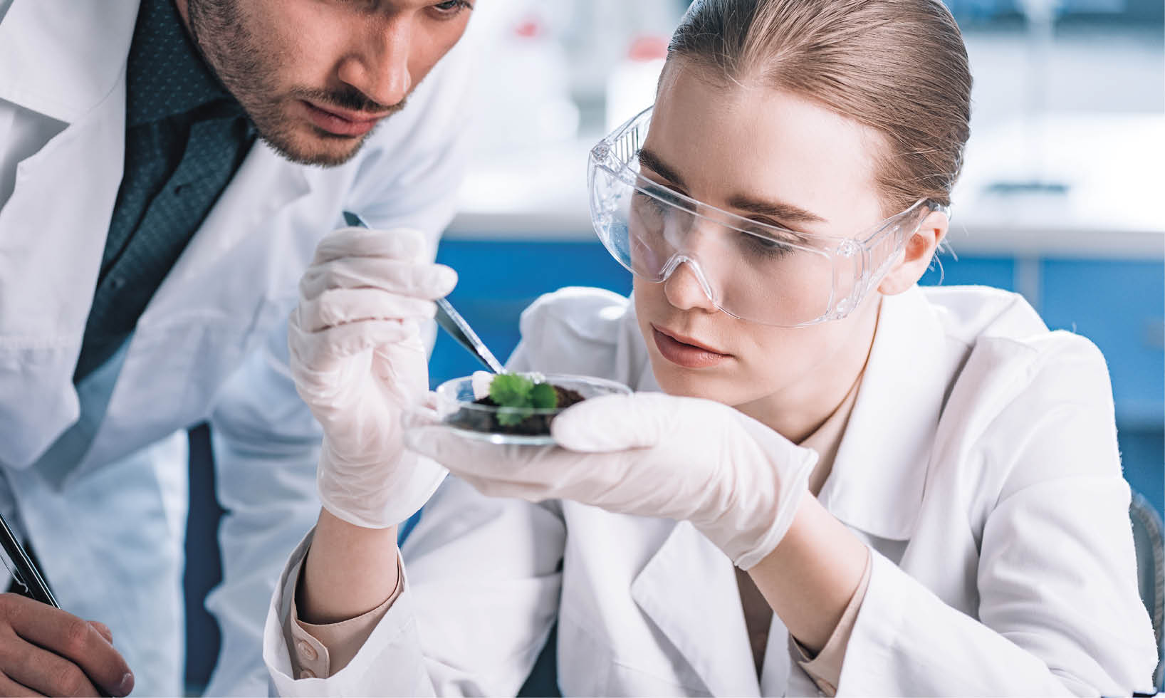 biochemist in goggles holding tweezers near green plant and coworker 