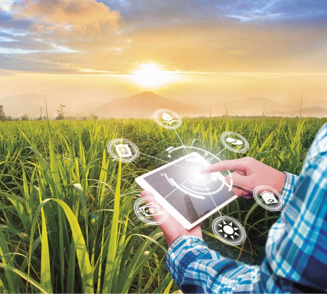 Innovation technology for smart farm system, Agriculture management, Hand holding smartphone with smart technology concept. asian male farmer working in Sugarcane farm To collect data to study.