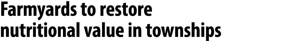 Farmyards to restore nutritional value in townships