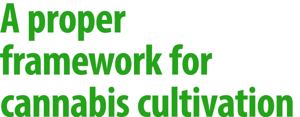 A proper framework for cannabis cultivation