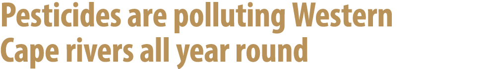 Pesticides are polluting Western Cape rivers all year round