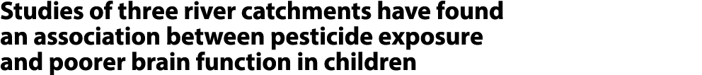 Studies of three river catchments have found an association between pesticide exposure and poorer brain function in c...