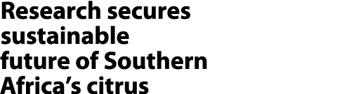 Research secures sustainable future of Southern Africa’s citrus 