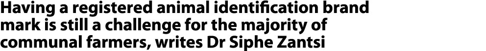Having a registered animal identification brand mark is still a challenge for the majority of communal farmers, write...