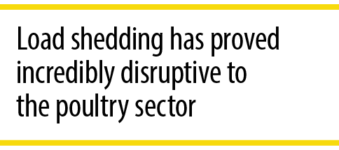 Load shedding has proved incredibly disruptive to the poultry sector