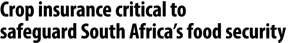 Crop insurance critical to safeguard South Africa’s food security 