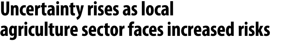 Uncertainty rises as local agriculture sector faces increased risks 