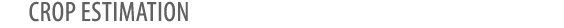 Crop estimation