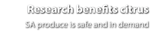 Research benefits citrus SA produce is safe and in demand