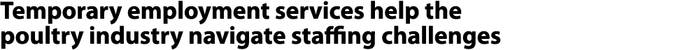 Temporary employment services help the poultry industry navigate staffing challenges 
