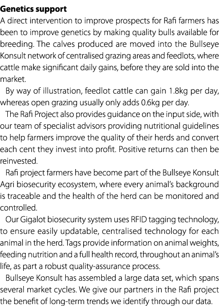 Genetics support A direct intervention to improve prospects for Rafi farmers has been to improve genetics by making q...