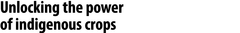 Unlocking the power of indigenous crops 