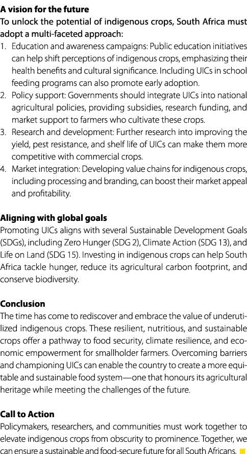 A vision for the future To unlock the potential of indigenous crops, South Africa must adopt a multi faceted approach...