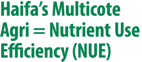 Haifa’s Multicote Agri = Nutrient Use Efficiency (NUE)