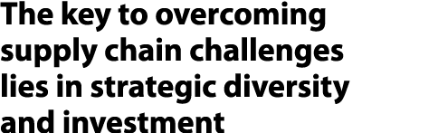The key to overcoming supply chain challenges lies in strategic diversity and investment 