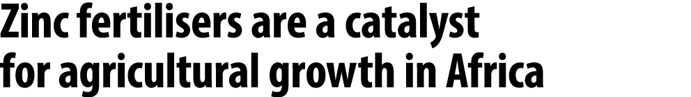 Zinc fertilisers are a catalyst for agricultural growth in Africa 