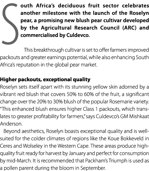 South Africa’s deciduous fruit sector celebrates another milestone with the launch of the Roselyn pear, a promising n...