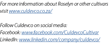 For more information about Roselyn or other cultivars visit www.culdevco.co.za/ Follow Culdevco on social media: Face...