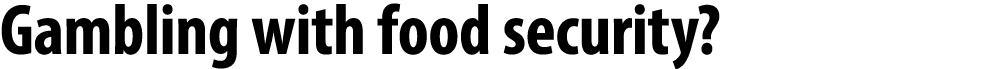 Gambling with food security? 