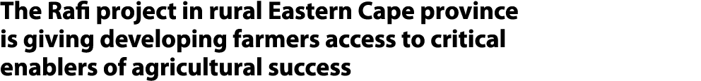 The Rafi project in rural Eastern Cape province is giving developing farmers access to critical enablers of agricultu...