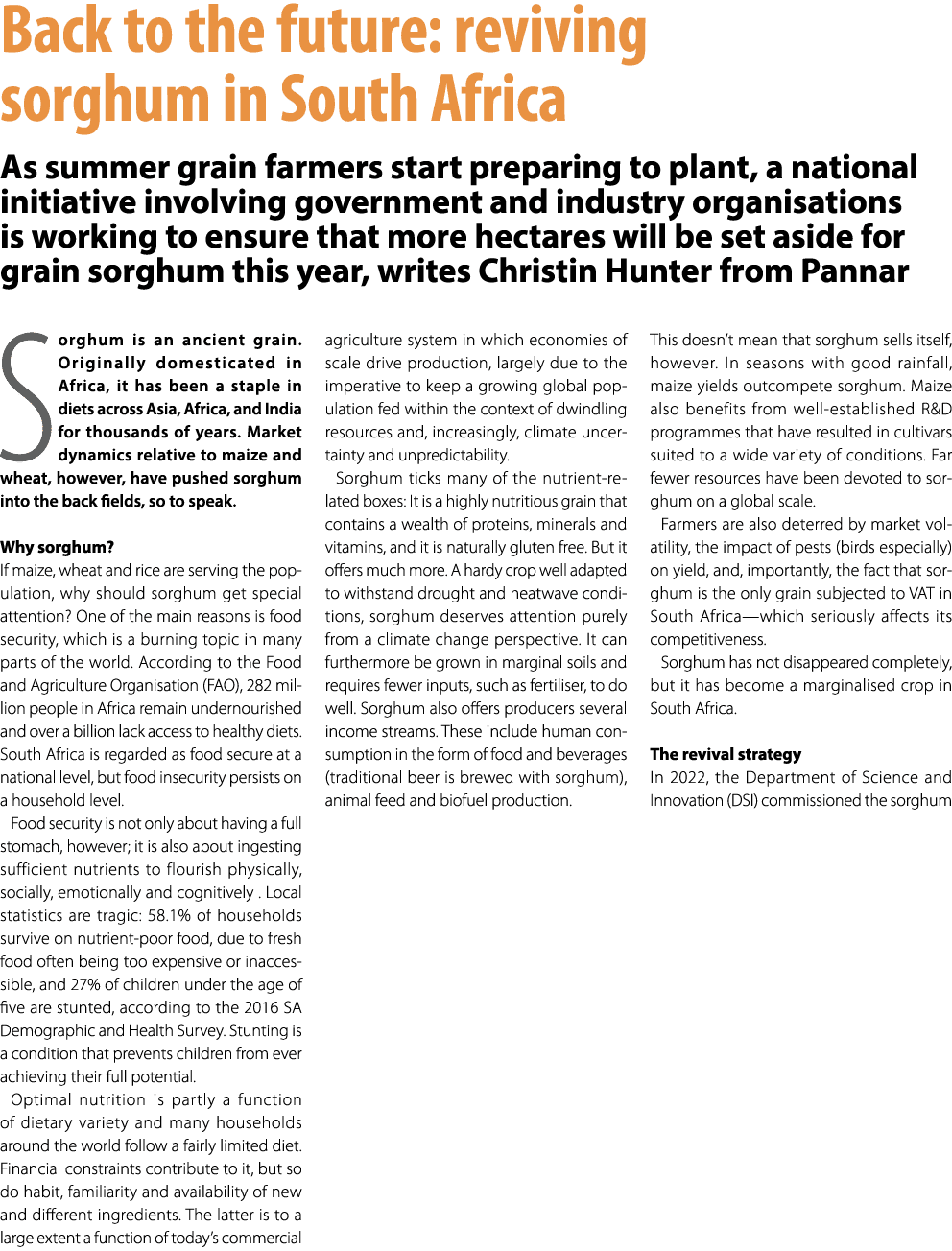 Back to the future: reviving sorghum in South Africa As summer grain farmers start preparing to plant, a national ini...