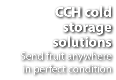 CCH cold storage solutions Send fruit anywhere in perfect condition
