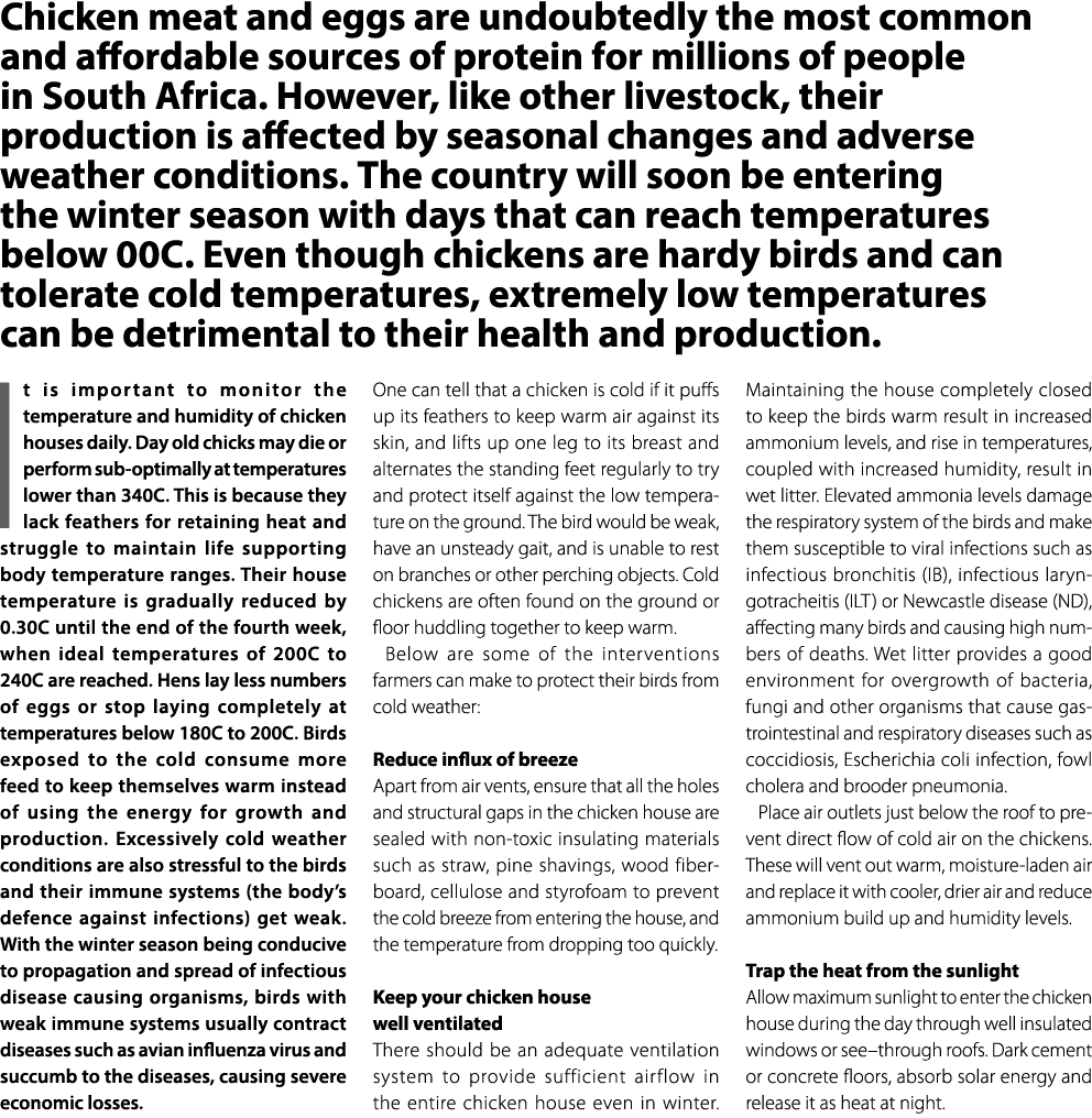 Chicken meat and eggs are undoubtedly the most common and affordable sources of protein for millions of people in Sou...