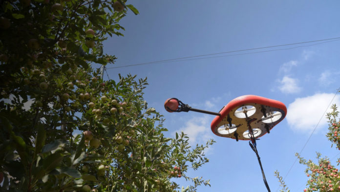 Flying autonomous robot can spot and pick ripe fruit