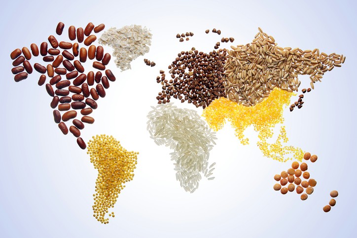 South Africa's standing in the Global Food Security Index deteriorates