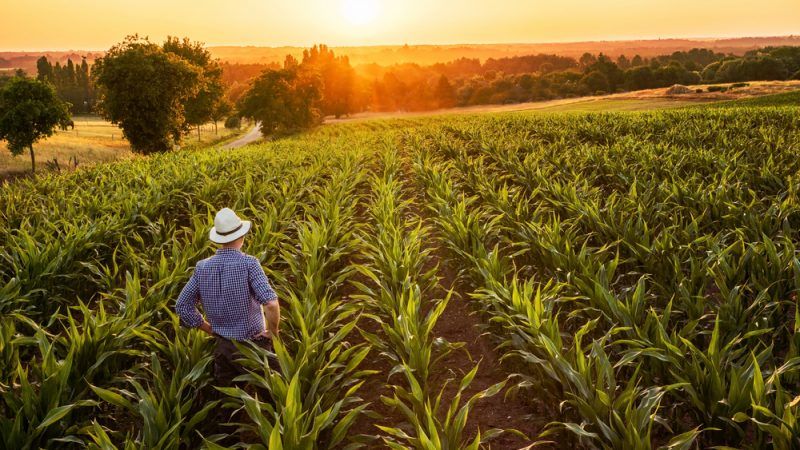 Good financial decisions will ensure SA agriculture survival during bad times