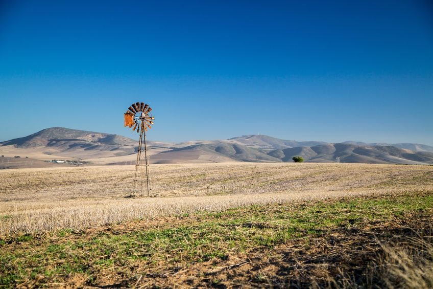 Here are the challenges constraining faster and more inclusive growth in South Africa's agriculture