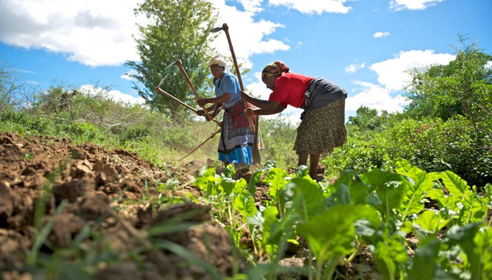 New targets to protect biodiversity must include farmers and agriculture