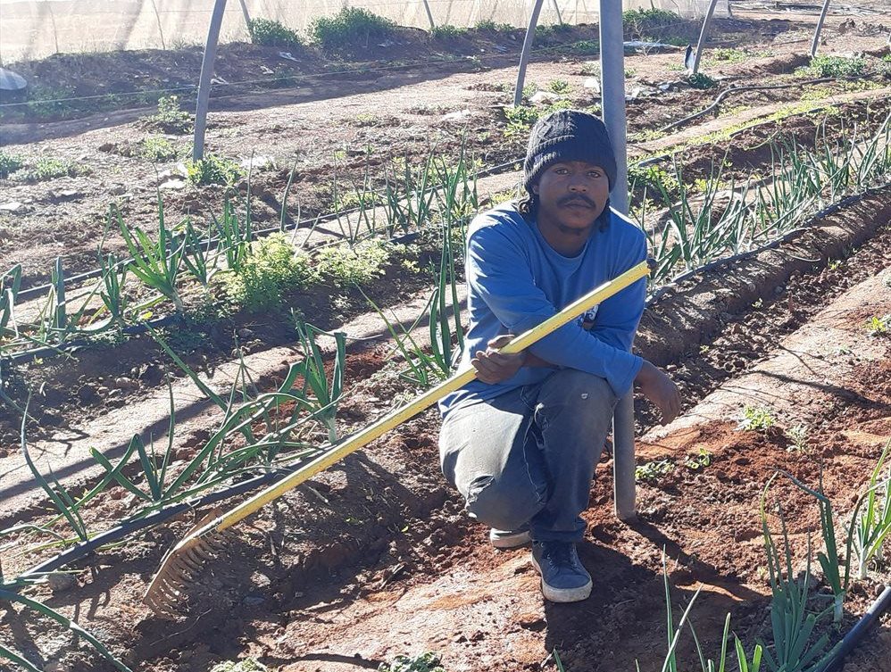 Northern Cape-based wind farms provide support, funding to youth-owned agribusiness