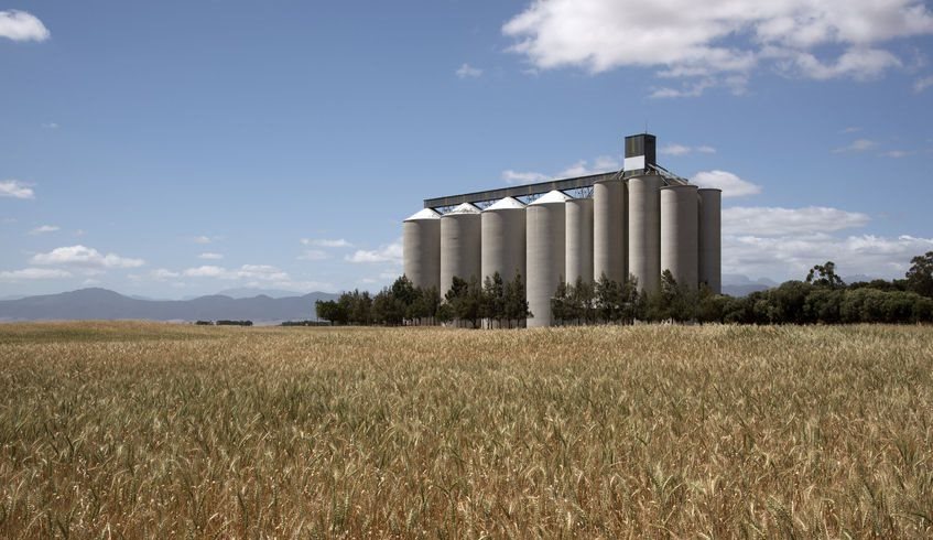 SA agri posts trade surplus in Q2 despite ongoing Covid challenges